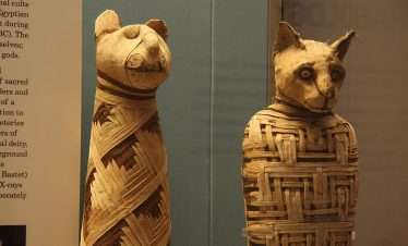 Grand Egyptian Museum Tour – Egypt Breeze Tours