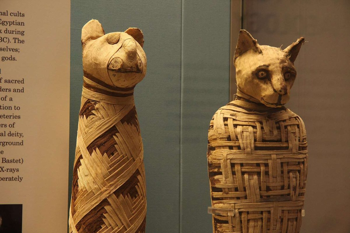 Grand Egyptian Museum Tour – Egypt Breeze Tours