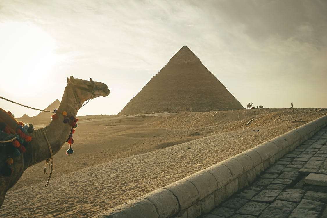 he Giza Pyramids and the Sphinx in Cairo, Egypt.