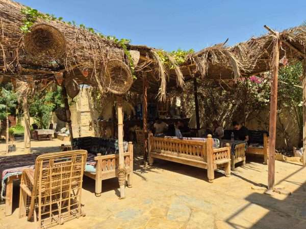 Fayoum Oasis view during a private one-day desert adventure with Egypt Breeze Tours