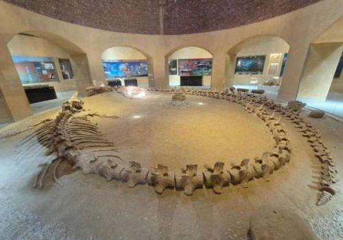 Fayoum Oasis view during a one-day safari with Egypt Breeze Tours